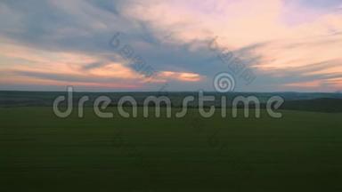 日落的云彩覆盖绿色的麦田和孤独的树，空中视频